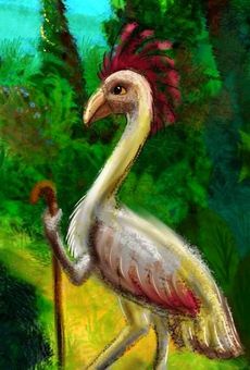 A kasowar, an intelligent flightless bird on Abyssia. Click to enlarge.