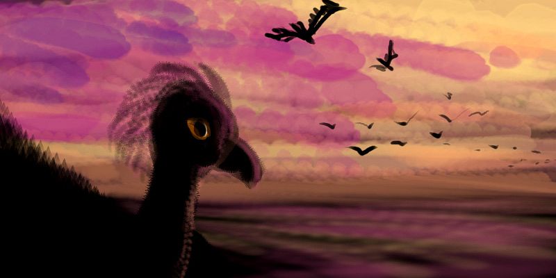 Digital sketch of sentient birds flying out to sea at sunset; one stays on shore.