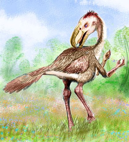 Sketch by Chris Wayan of an alternate Andalgalornis (a large extinct flightless bird) with small forelimbs and hands; based on a grayscale drawing by J. Conway (from Wikipedia; creative commons copyright, so please do not use commercially).