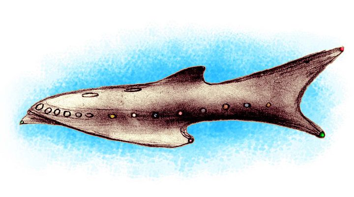 Sketch of a dream by Wayan: a streamlined sharklike spaceship