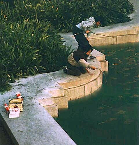 two boys catch crayfish in The Pool of Enchantment (1983; west of current circular pool) by San Francisco's De Young Museum.