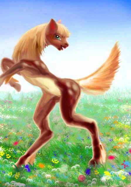 A small, leggy, strange brown mare rears up in a meadow.