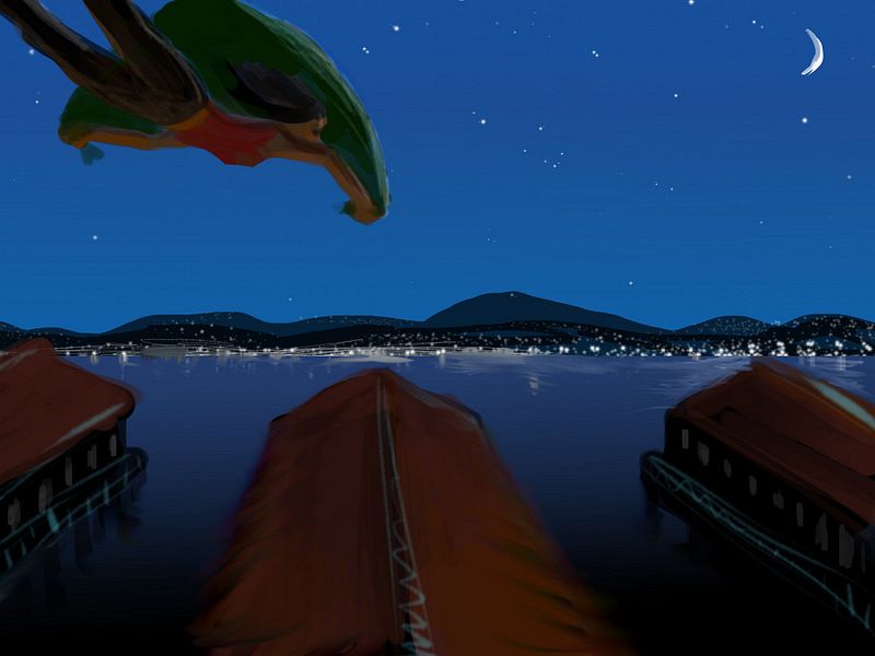 I fly at night over piers in San Francisco. Sketch of a dream by Wayan.