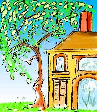 A bright yellow house and a tree with equally bright flowers & leaves. Dream sketch by Xanthe, colored by Wayan.