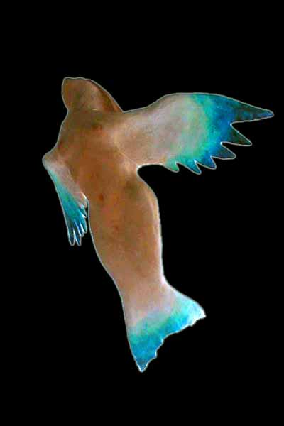 bluebird mermaid angel: a dream sculpture.