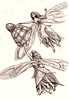 Pencil drawing of two fairies with dragonfly wings and four feet each, chasing a badminton birdie mid-air.