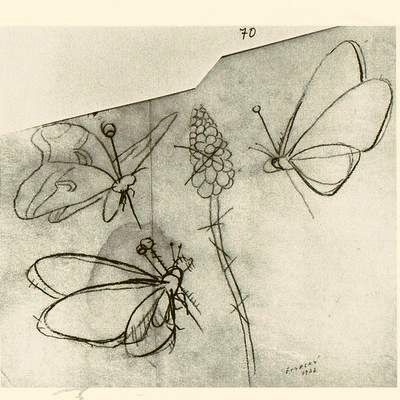 Pinned butterflies yet alive, in flight; sketch of a dream by Jindrich Styrsky.
