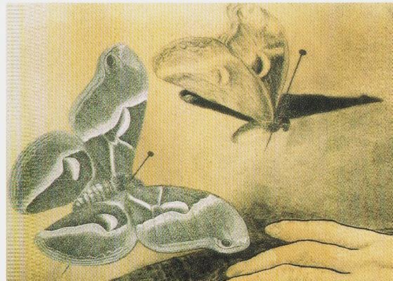 Pinned butterflies yet alive, in flight; sketch of a dream by Jindrich Styrsky.