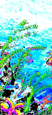 Digital sketch of reefs off Ri Kshen Archipelago, on Capsica, a small world hotter and drier than Earth.