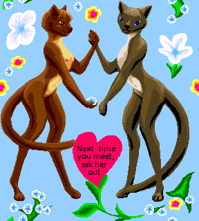 Cat couple with hearts and flowers and the words 'Next time you meet, ask her out.'