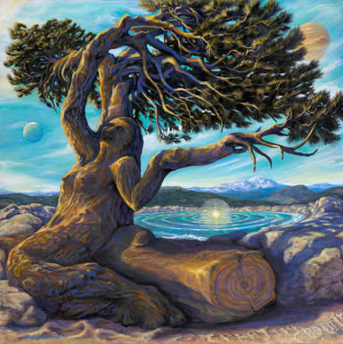 Acrylic painting by Brenda Ferrimani of a woman inside a bristlecone pine on a mountaintop. Click to enlarge.