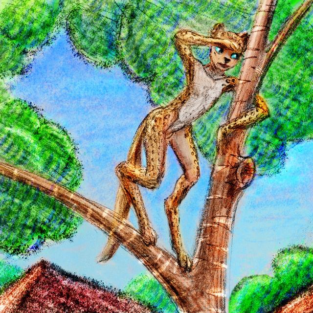 I'm a cheetah-man up a tree. Dream sketch by Wayan. Click to enlarge.