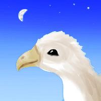 Sketch by Chris Wayan of dream by Nancy Price: white and buff pigeon smiling, with moon in background