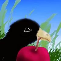 Sketch by Chris Wayan of dream by Nancy Price: blackbird holding a huge cherry