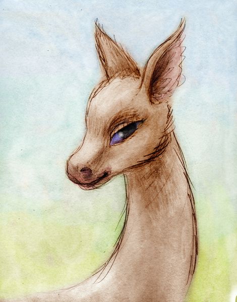 Deer girl; pencil sketch of a dream by Wayan; click to enlarge.