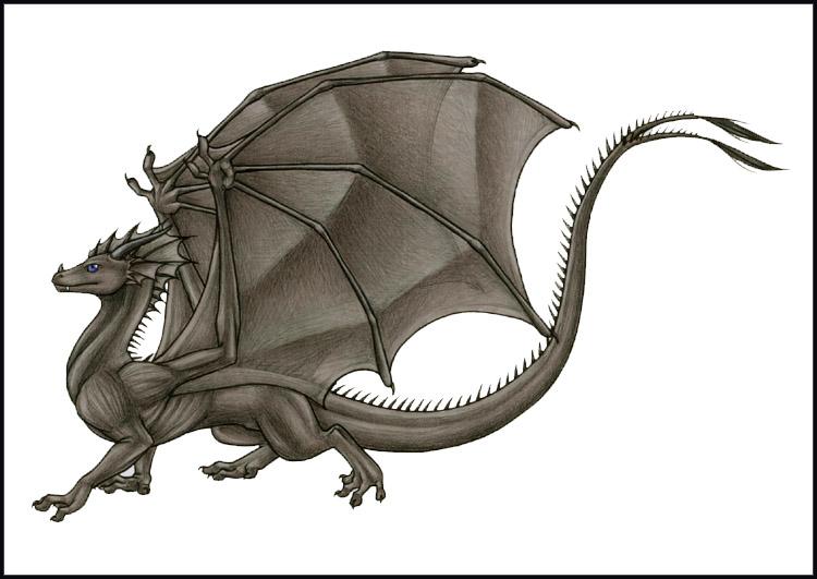 I dreamed I was a lean, blue-eyed, winged dragon, gunmetal color, with a forked tail. Portrait of me in profile, by my girlfriend Katie Hofgard.