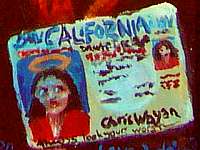 Painted image of a California driver's license with a note under the photo: 'Always look your worst.'