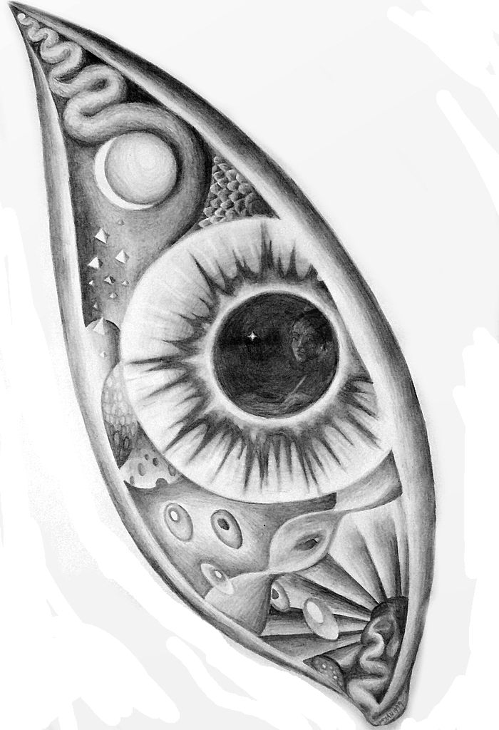 A huge eye full of abstract shapes and the artist reflected in the pupil; pencil drawing by Wayan