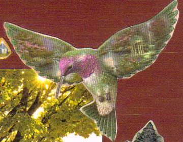 hovering hummingbird with landscapes and temples hidden in its wings