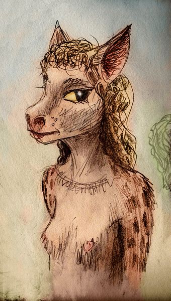 Slender big-eared coyotish but herbivorous girl. Dream sketch by Wayan. Click to enlarge.