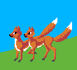a fox couple, standing, in profile.