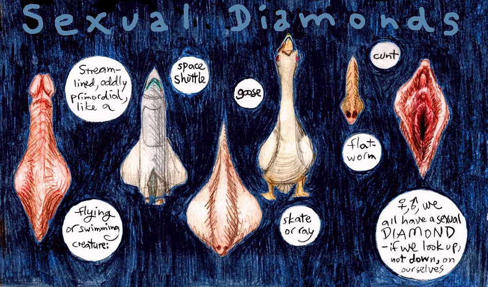 Penis, goose, space shuttle, skate or ray, flatworm and vulva compared. Dream sketch by Wayan. Click to enlarge.