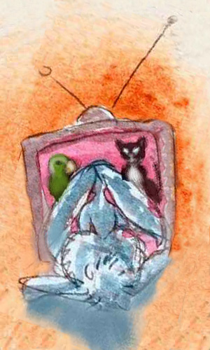 A white rabbit watches a debate between a parrot and black cat on TV. Click to enlarge.