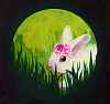 Thumbnail of a watercolor sketch of a white bunny with dark eyes, a pink bow and a jewel