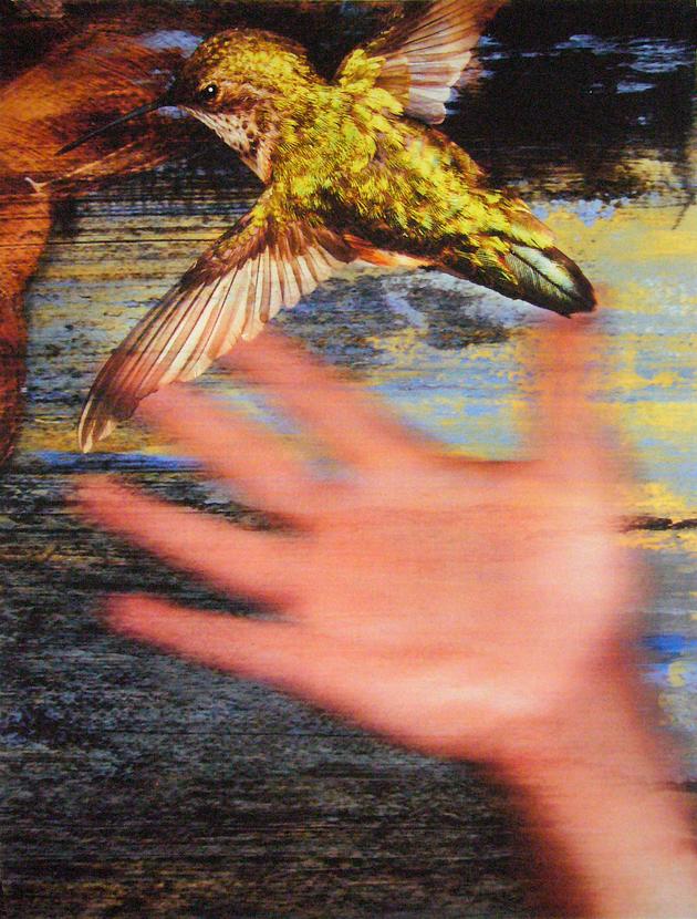 Hand and hummingbird; image of a dream by Larry Vigon.