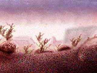 A Martian desert after terraforming. Mesas, rocks, spindly brush.