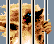 Me as a lab animal; a catlike creature with hands on cage bars.
