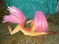 The sculpting of Fuchsia, a centauroid dancer, out of two Barbies; by Chris Wayan. Click to enlarge