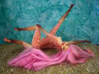 The sculpting of Fuchsia, a centauroid dancer, out of two Barbies; by Chris Wayan. Click to enlarge