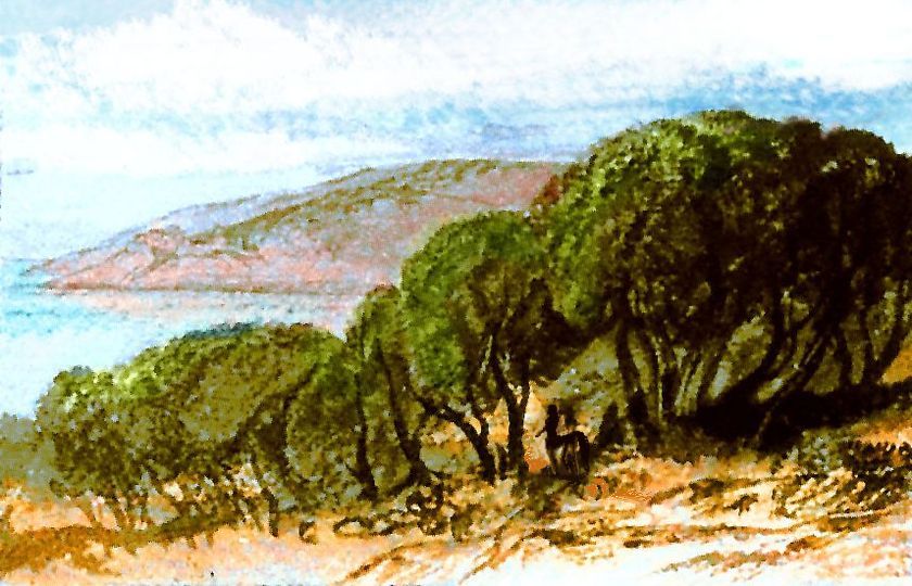 Sketch, after Edward Lear, of meadows & groves in the Ibari Islands west of Iba, a desert continent on Kakalea, a rather dry earthlike world.