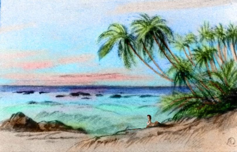 Sketch after Edward Lear of beach with palms; Liarote Archipelago on Kakalea, a model of an Earthlike world full of Australias.
