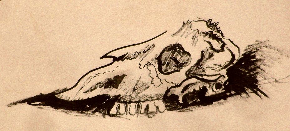 Ink sketch of a long (equine?) skull in sand; northwestern desert on Ata, biggest continent on Kakalea, a model of an Earthlike world full of Australias.