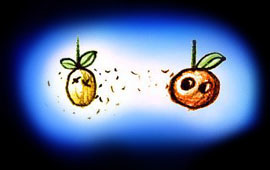 oval sketch of dream image by Wayan: a dead Lemon Person emits spores infecting an orange with eyes.