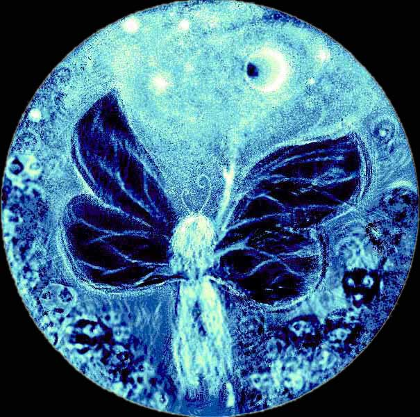 Me as a nightwinged moth-girl in a starry sea, with larval bug-faces round the margins