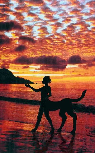 A cheetaur, an intelligent cheetah-like centauroid, silhouetted at sunset on the beach.