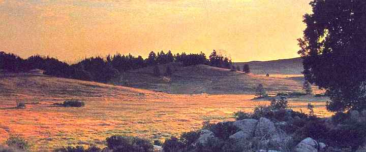 Rolling grassy hills capped with groves, near sunset; a few round houses in the distance.