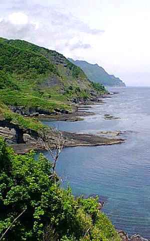 A craggy green coast with reefs offshore.