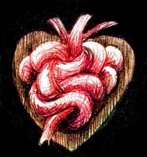 Sketch of a heart-shaped knot of red leather cords: dream image