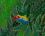 Drawing of a huge jungle leaves half-hiding a yellow and blue bird