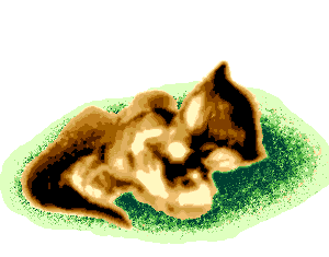 abandoned Tasmanian Wolf pup, the last of its kind