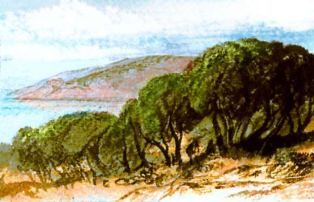 Sketch of low promontories. Dry grass and oaks. Northwest coast of Continent 2 on Pegasia, an Earthlike moon. Sketch based on a watercolor by Edward Lear.