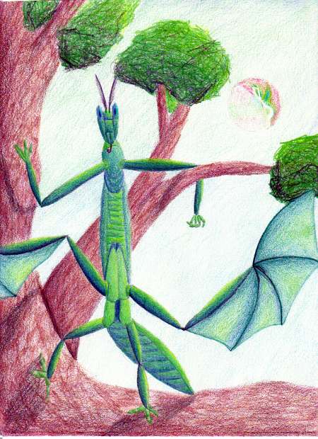 Bodyplan of a busrehi, an intelligent flying insect of the forest canopy on Pegasia, a fertile moon orbiting a gas giant. Species design and sketch by Marc Cohen.