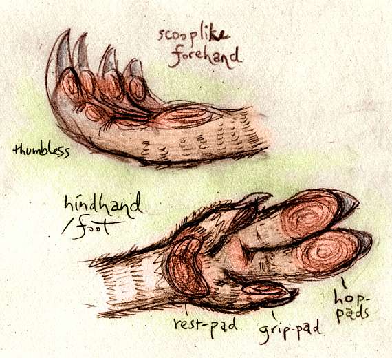 drimrol paws, front and back. Drimrols are sentient burrowers in subpolar regions of Pegasia, an earthlike moon with shallow seas.