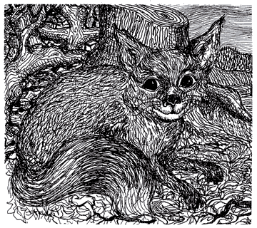 'Franky Furbo', portrait of a fox genius, by William Wharton.