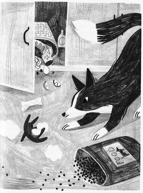 Sally, Sy Montgomery's border collie, trashing the kitchen; sketch by Rebecca Green.