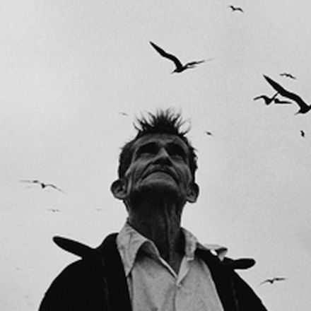 Detail of photo 'Senor de los Pajaros' (1984) by Graciela Iturbide; based on a recurring dream.